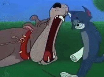 《猫和老鼠》果然是部纪录片!这25张图快把我笑死休闲区蓝鸢梦想 - Www.slyday.coM 《猫和老鼠》果然是部纪录片!这25张图快把我笑死休闲区蓝鸢梦想 - Www.slyday.coM