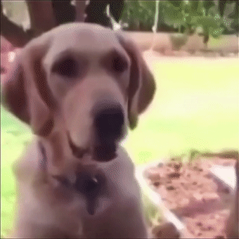 《猫和老鼠》果然是部纪录片!这25张图快把我笑死休闲区蓝鸢梦想 - Www.slyday.coM 《猫和老鼠》果然是部纪录片!这25张图快把我笑死休闲区蓝鸢梦想 - Www.slyday.coM