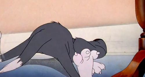 《猫和老鼠》果然是部纪录片!这25张图快把我笑死休闲区蓝鸢梦想 - Www.slyday.coM 《猫和老鼠》果然是部纪录片!这25张图快把我笑死休闲区蓝鸢梦想 - Www.slyday.coM