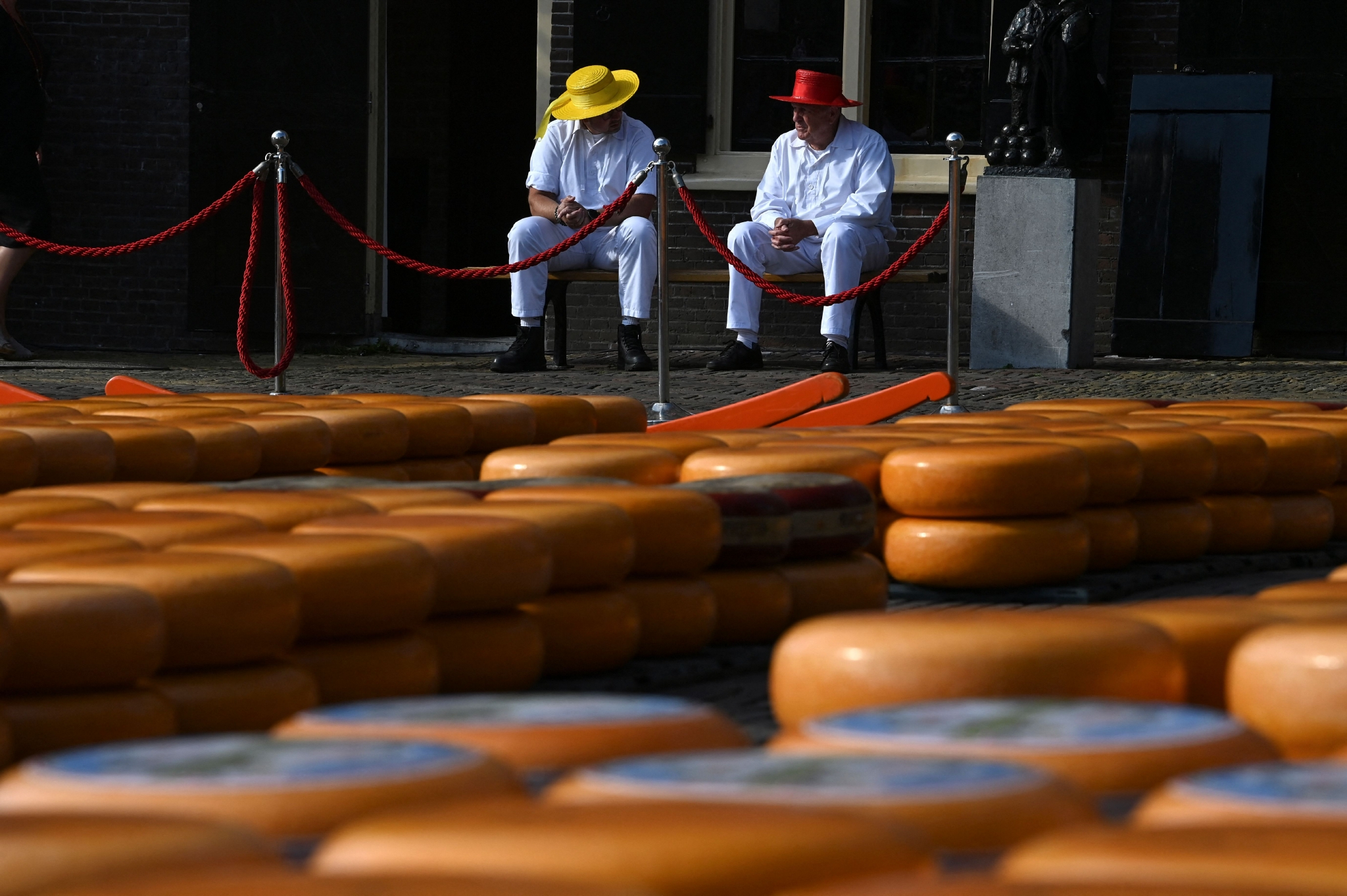 2023奶酪博物馆游玩攻略,对了，荷兰60[%]的奶酪都产自...【去哪儿攻略】