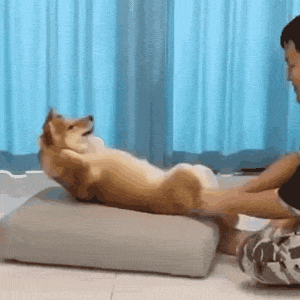 被扒LTP了……这下洗不白了吧?休闲区蓝鸢梦想 - Www.slyday.coM 被扒LTP了……这下洗不白了吧?休闲区蓝鸢梦想 - Www.slyday.coM