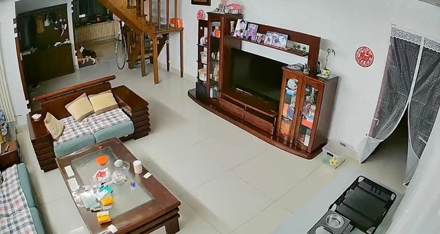 汪汪队立大功!边牧发现厨房着火,狂吠不止提醒主人灭火休闲区蓝鸢梦想 - Www.slyday.coM 汪汪队立大功!边牧发现厨房着火,狂吠不止提醒主人灭火休闲区蓝鸢梦想 - Www.slyday.coM