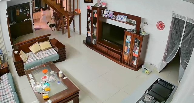 汪汪队立大功!边牧发现厨房着火,狂吠不止提醒主人灭火休闲区蓝鸢梦想 - Www.slyday.coM 汪汪队立大功!边牧发现厨房着火,狂吠不止提醒主人灭火休闲区蓝鸢梦想 - Www.slyday.coM