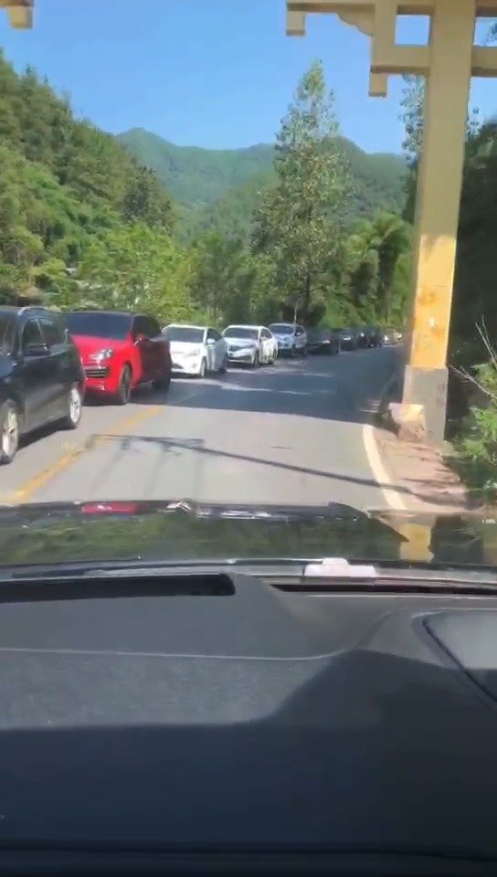 “候鸟们”又又又又去避暑了