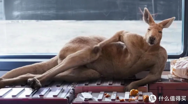 沈腾新片《独行月球》火了!首播评价:吴京有对手了?休闲区蓝鸢梦想 - Www.slyday.coM 沈腾新片《独行月球》火了!首播评价:吴京有对手了?休闲区蓝鸢梦想 - Www.slyday.coM