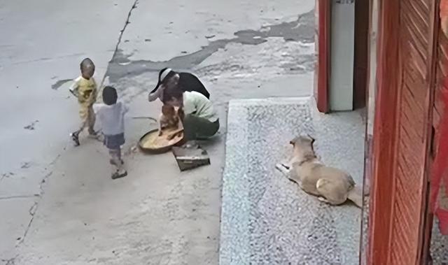 湖南邵阳:3岁小孩遭恶犬扑咬,家中狗狗飞奔上前勇救小主人休闲区蓝鸢梦想 - Www.slyday.coM 湖南邵阳:3岁小孩遭恶犬扑咬,家中狗狗飞奔上前勇救小主人休闲区蓝鸢梦想 - Www.slyday.coM