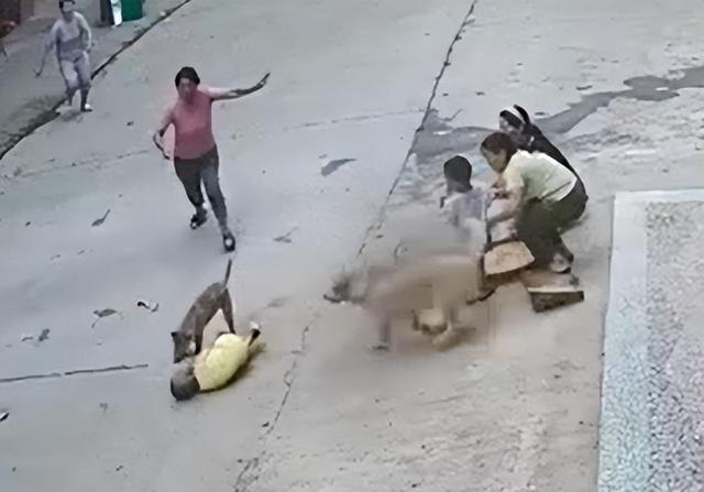 湖南邵阳:3岁小孩遭恶犬扑咬,家中狗狗飞奔上前勇救小主人休闲区蓝鸢梦想 - Www.slyday.coM 湖南邵阳:3岁小孩遭恶犬扑咬,家中狗狗飞奔上前勇救小主人休闲区蓝鸢梦想 - Www.slyday.coM