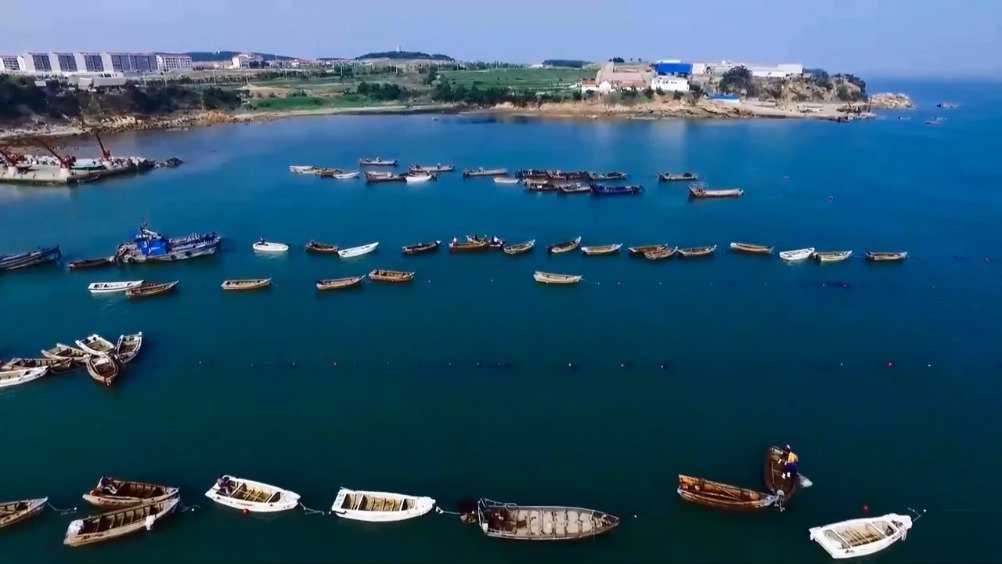 日照美团怎么找接活的女生