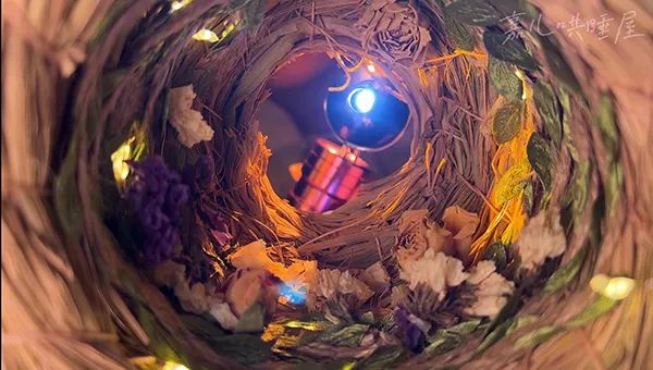 ASMR哄睡师,从爱好者到百万粉丝博主休闲区蓝鸢梦想 - Www.slyday.coM ASMR哄睡师,从爱好者到百万粉丝博主休闲区蓝鸢梦想 - Www.slyday.coM