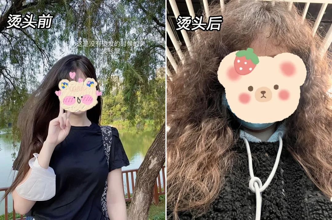 姐妹们听句劝吧,头发干到像枯草了,还只用护发素养发是行不通的…休闲区蓝鸢梦想 - Www.slyday.coM 姐妹们听句劝吧,头发干到像枯草了,还只用护发素养发是行不通的…休闲区蓝鸢梦想 - Www.slyday.coM