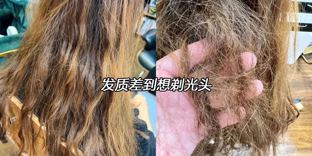 姐妹们听句劝吧,头发干到像枯草了,还只用护发素养发是行不通的…休闲区蓝鸢梦想 - Www.slyday.coM 姐妹们听句劝吧,头发干到像枯草了,还只用护发素养发是行不通的…休闲区蓝鸢梦想 - Www.slyday.coM