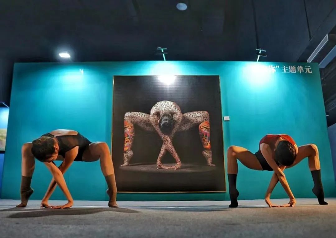两位专业舞蹈演员在埃及摄影师艾曼·卢特菲·穆罕默德的作品《记载》前表演。陈文伟 摄