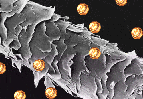 姐妹们听句劝吧,头发干到像枯草了,还只用护发素养发是行不通的…休闲区蓝鸢梦想 - Www.slyday.coM 姐妹们听句劝吧,头发干到像枯草了,还只用护发素养发是行不通的…休闲区蓝鸢梦想 - Www.slyday.coM