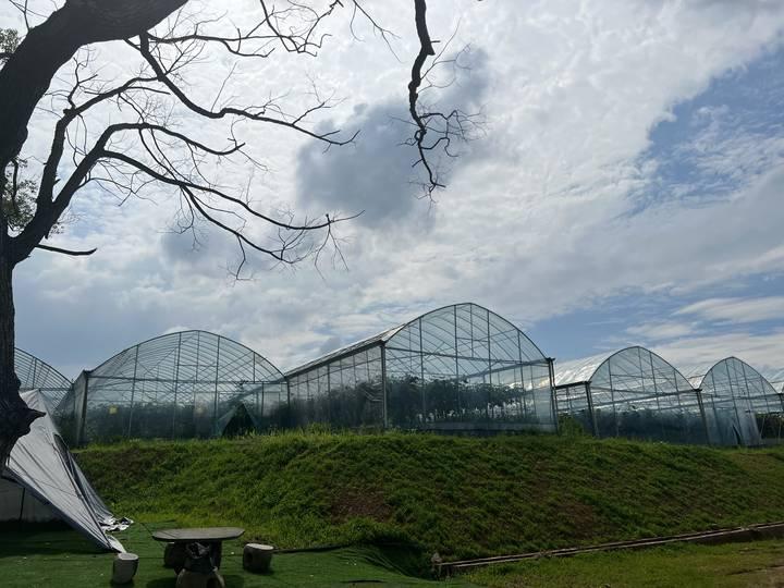 花3万元从云南打“飞的”,月薪六七千元,浦江这个农场来了一群葡萄分拣师休闲区蓝鸢梦想 - Www.slyday.coM 花3万元从云南打“飞的”,月薪六七千元,浦江这个农场来了一群葡萄分拣师休闲区蓝鸢梦想 - Www.slyday.coM