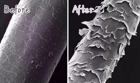 姐妹们听句劝吧,头发干到像枯草了,还只用护发素养发是行不通的…休闲区蓝鸢梦想 - Www.slyday.coM 姐妹们听句劝吧,头发干到像枯草了,还只用护发素养发是行不通的…休闲区蓝鸢梦想 - Www.slyday.coM