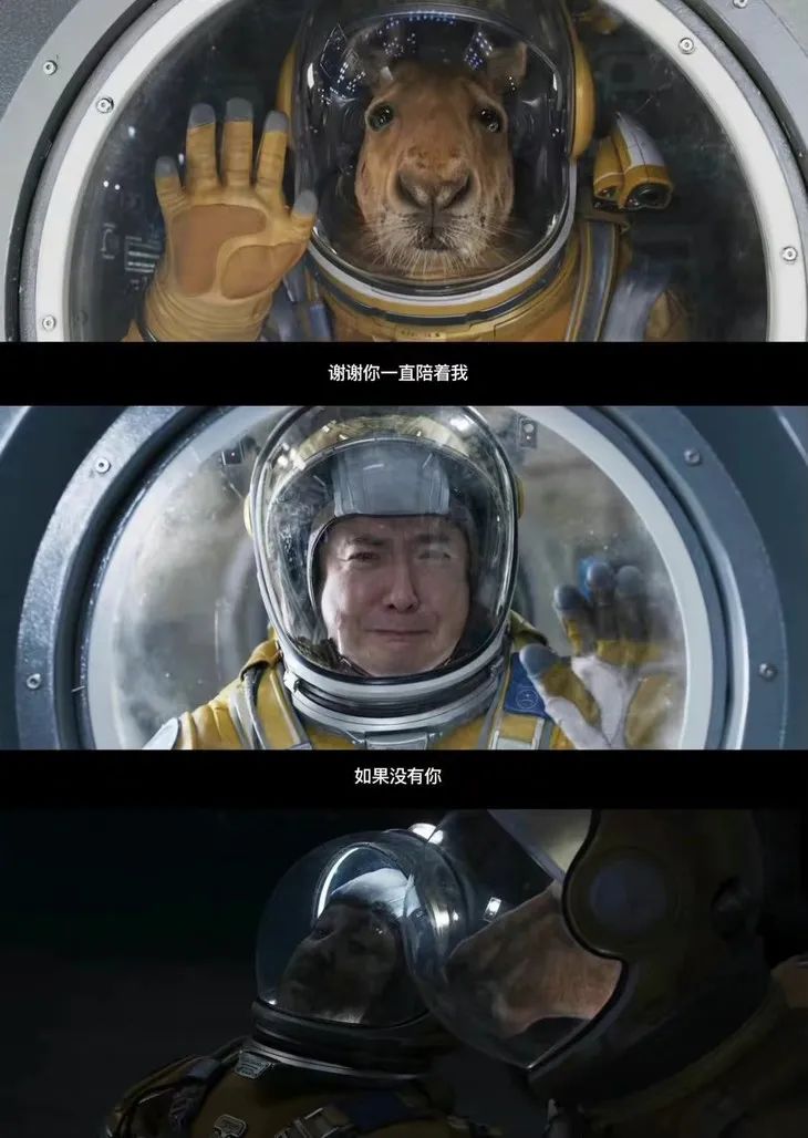 沈腾马丽诚不欺我 沈腾马丽诚不欺我