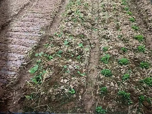 得不到就毁掉?来自一名被告人的爱情自述...休闲区蓝鸢梦想 - Www.slyday.coM 得不到就毁掉?来自一名被告人的爱情自述...休闲区蓝鸢梦想 - Www.slyday.coM