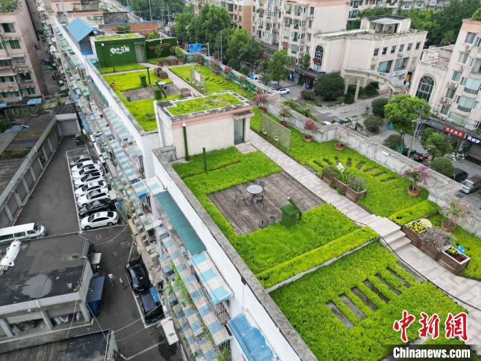 成都一老旧小区楼顶变1100平方米共享空中花园