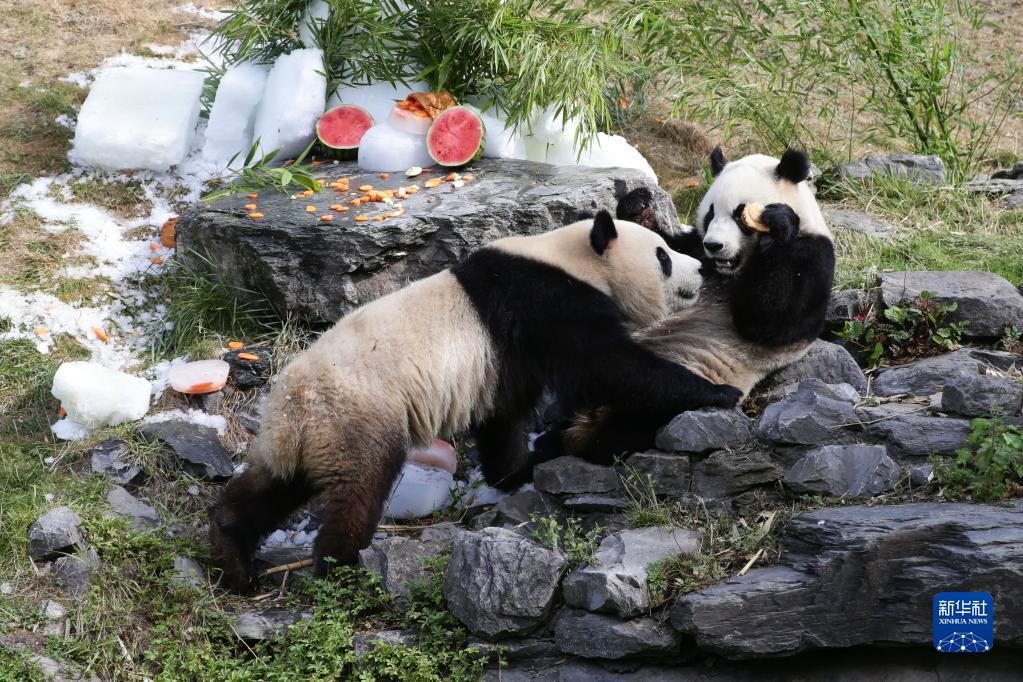 迷女药方配制法