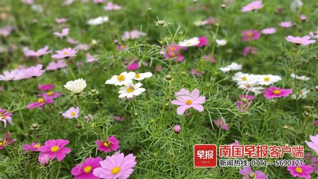 晚安十点(2022.8.6)丨哪些句子,会让你产生“我一辈子都写不出来”的想法?休闲区蓝鸢梦想 - Www.slyday.coM 晚安十点(2022.8.6)丨哪些句子,会让你产生“我一辈子都写不出来”的想法?休闲区蓝鸢梦想 - Www.slyday.coM