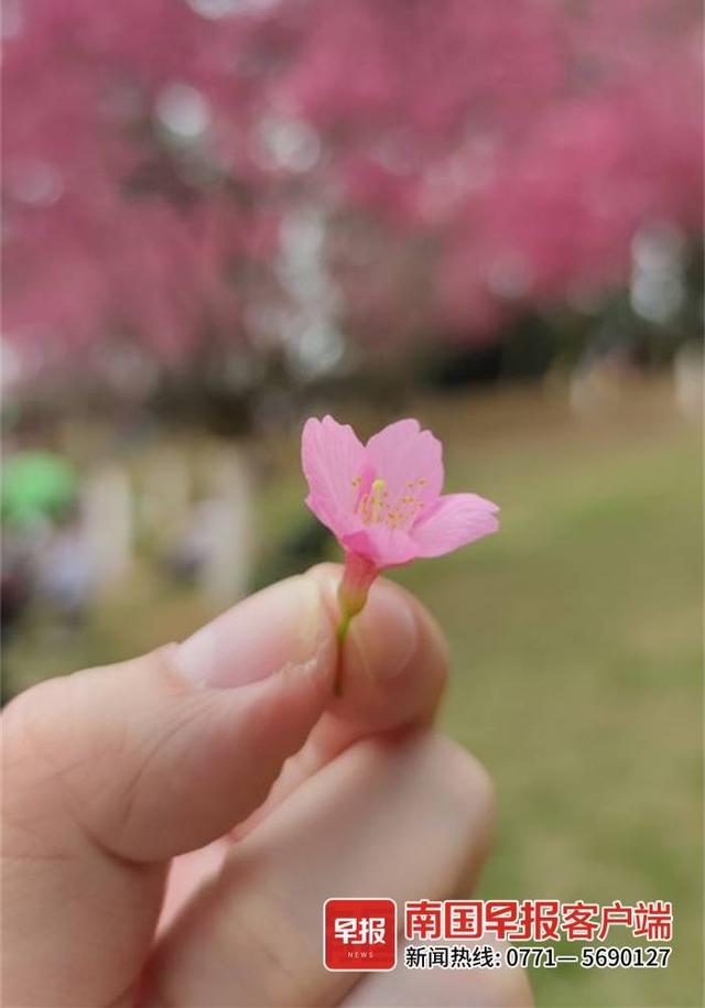 晚安十点(2022.8.6)丨哪些句子,会让你产生“我一辈子都写不出来”的想法?休闲区蓝鸢梦想 - Www.slyday.coM 晚安十点(2022.8.6)丨哪些句子,会让你产生“我一辈子都写不出来”的想法?休闲区蓝鸢梦想 - Www.slyday.coM
