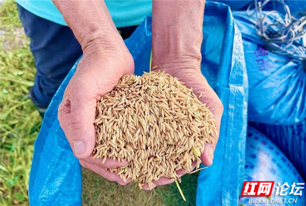 向往的家园丨随着稻香河流继续奔跑,这是我的快乐乡村生活休闲区蓝鸢梦想 - Www.slyday.coM 向往的家园丨随着稻香河流继续奔跑,这是我的快乐乡村生活休闲区蓝鸢梦想 - Www.slyday.coM