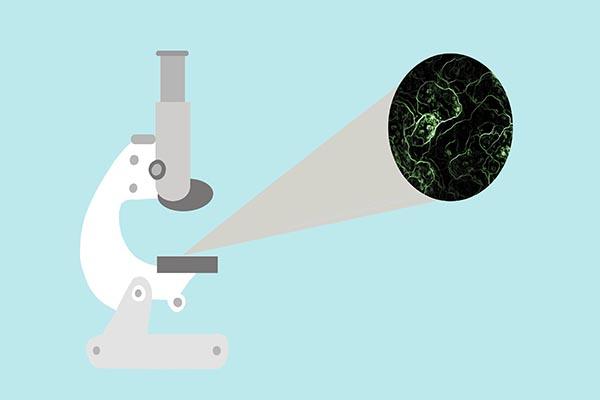 男性的内裤应该天天换吗?不喜欢穿内裤的人,3个好处向你走来休闲区蓝鸢梦想 - Www.slyday.coM 男性的内裤应该天天换吗?不喜欢穿内裤的人,3个好处向你走来休闲区蓝鸢梦想 - Www.slyday.coM