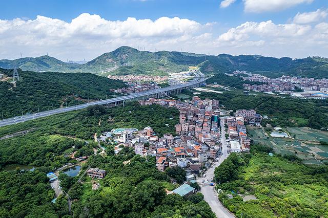 俯瞰東莞城鄉風光 視覺中國 圖