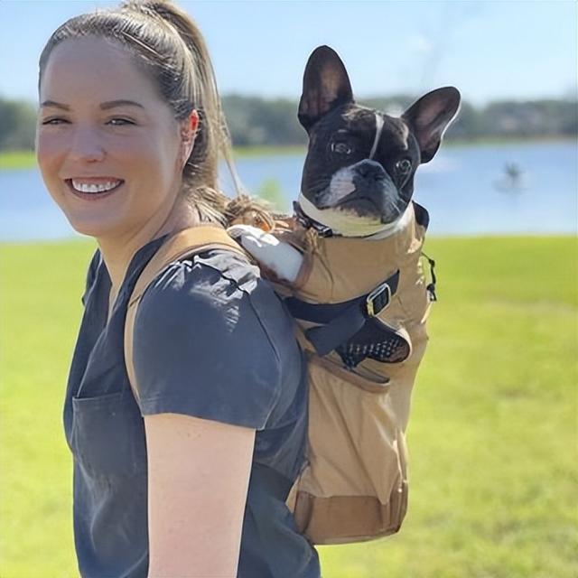 小狗把蚂蚱当零食,主人给它戴上了面具,就像一个小号的汉尼拔休闲区蓝鸢梦想 - Www.slyday.coM 小狗把蚂蚱当零食,主人给它戴上了面具,就像一个小号的汉尼拔休闲区蓝鸢梦想 - Www.slyday.coM