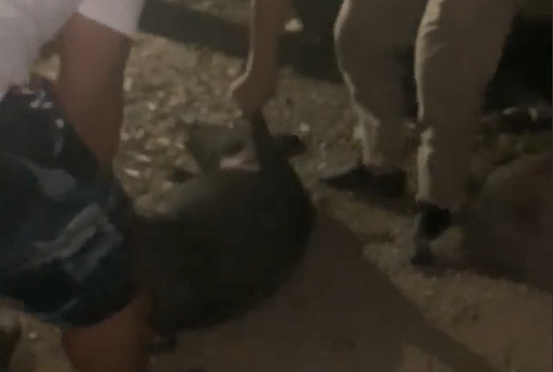 当最燃“村BA”遇上“最炫民族风”,这,就是贵州村民的幸福生活!休闲区蓝鸢梦想 - Www.slyday.coM 当最燃“村BA”遇上“最炫民族风”,这,就是贵州村民的幸福生活!休闲区蓝鸢梦想 - Www.slyday.coM