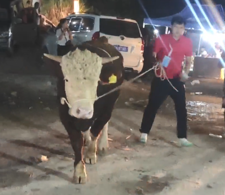 当最燃“村BA”遇上“最炫民族风”,这,就是贵州村民的幸福生活!休闲区蓝鸢梦想 - Www.slyday.coM 当最燃“村BA”遇上“最炫民族风”,这,就是贵州村民的幸福生活!休闲区蓝鸢梦想 - Www.slyday.coM