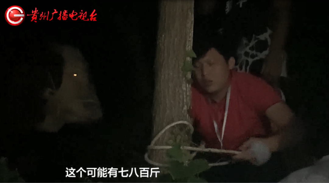 当最燃“村BA”遇上“最炫民族风”,这,就是贵州村民的幸福生活!休闲区蓝鸢梦想 - Www.slyday.coM 当最燃“村BA”遇上“最炫民族风”,这,就是贵州村民的幸福生活!休闲区蓝鸢梦想 - Www.slyday.coM