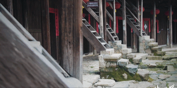 “城市越来越大,家却越来越小”,B站9.8分封神之作,拍下正在消失的老房子,看完破防!休闲区蓝鸢梦想 - Www.slyday.coM “城市越来越大,家却越来越小”,B站9.8分封神之作,拍下正在消失的老房子,看完破防!休闲区蓝鸢梦想 - Www.slyday.coM