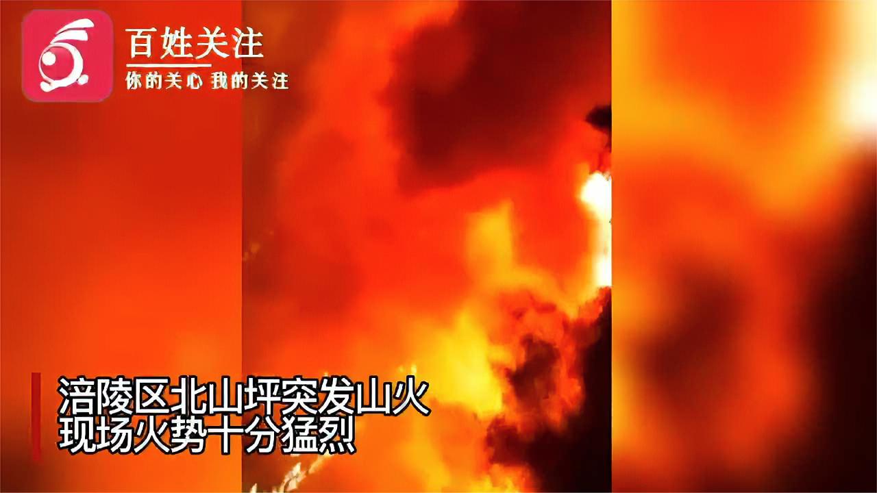 重庆山火目击者：看着火势从山下烧至山顶   消防正在现场扑救