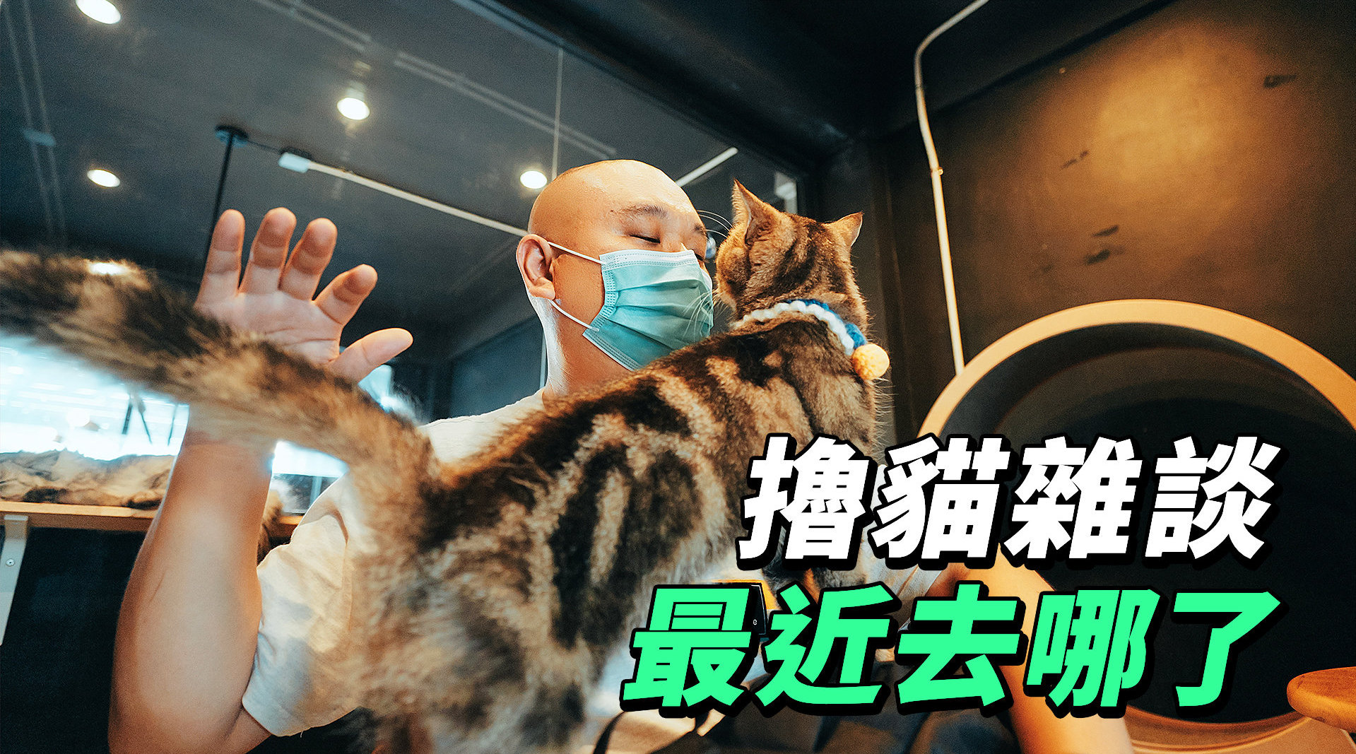 在曼谷一家猫咖啡馆……