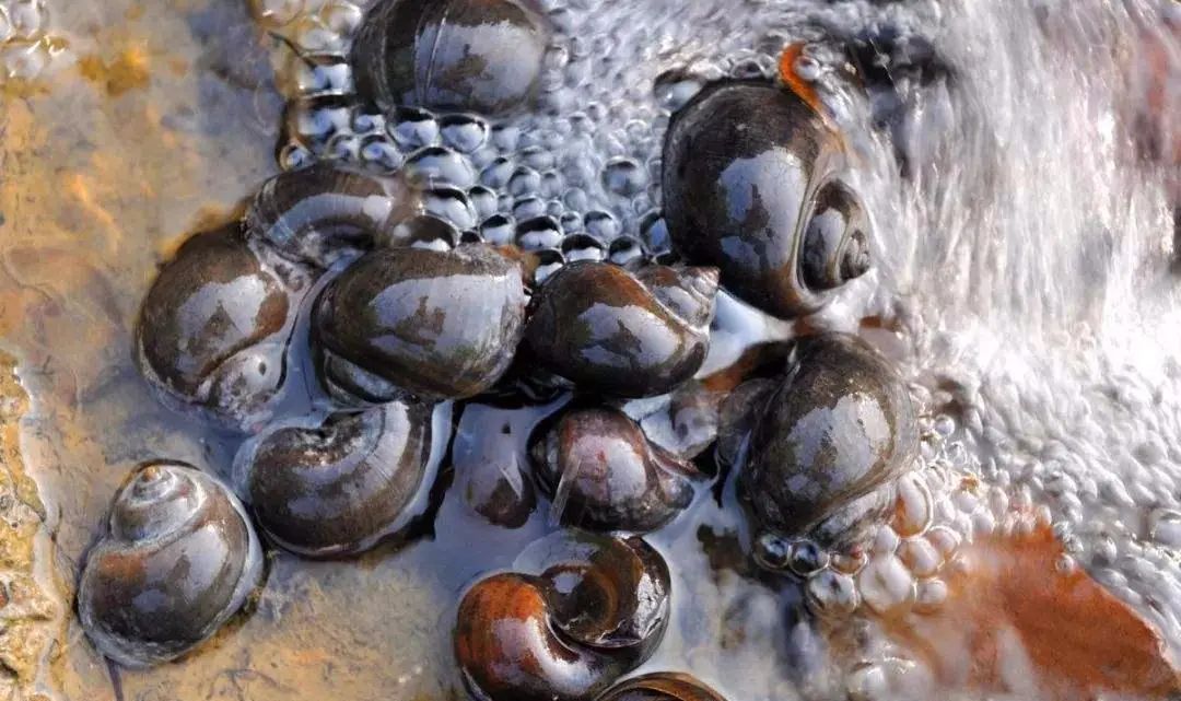 研究揭示思考为何会让人疲惫休闲区蓝鸢梦想 - Www.slyday.coM 研究揭示思考为何会让人疲惫休闲区蓝鸢梦想 - Www.slyday.coM