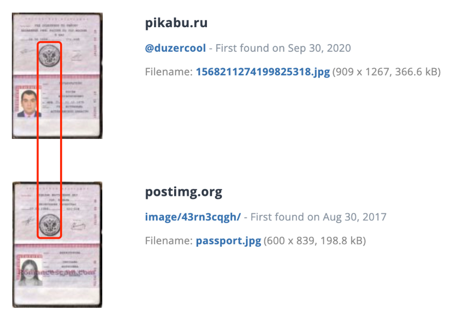  Tineye反搜结果，护照印章位置可以互相对齐。