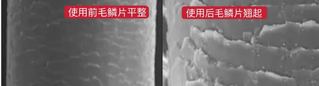 比3000块大牌吹风机还好用!一吹顺滑直,Tony都追着我要链接!休闲区蓝鸢梦想 - Www.slyday.coM 比3000块大牌吹风机还好用!一吹顺滑直,Tony都追着我要链接!休闲区蓝鸢梦想 - Www.slyday.coM