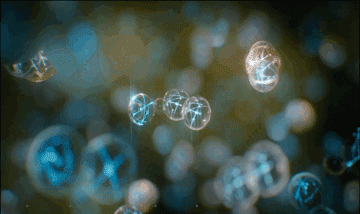 比3000块大牌吹风机还好用!一吹顺滑直,Tony都追着我要链接!休闲区蓝鸢梦想 - Www.slyday.coM 比3000块大牌吹风机还好用!一吹顺滑直,Tony都追着我要链接!休闲区蓝鸢梦想 - Www.slyday.coM