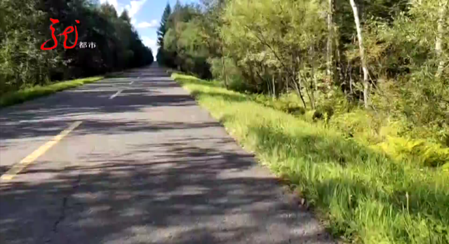 黑龙江逊克县“熊大熊二”出门溜达,附近村民注意啦……休闲区蓝鸢梦想 - Www.slyday.coM 黑龙江逊克县“熊大熊二”出门溜达,附近村民注意啦……休闲区蓝鸢梦想 - Www.slyday.coM