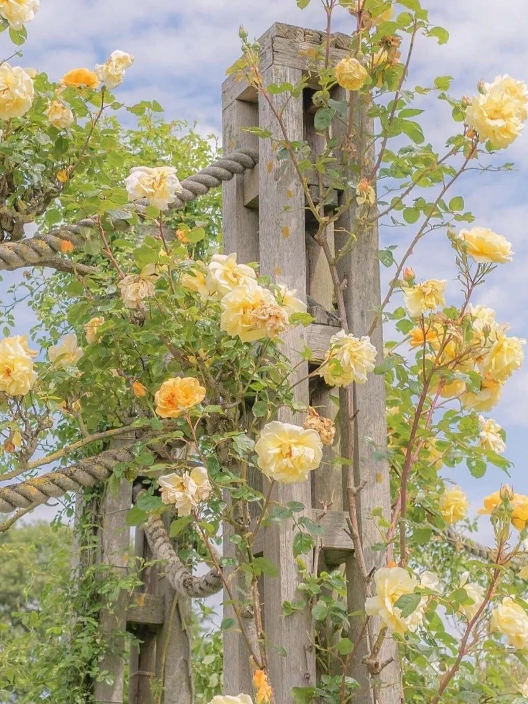 你好,8月24日休闲区蓝鸢梦想 - Www.slyday.coM 你好,8月24日休闲区蓝鸢梦想 - Www.slyday.coM