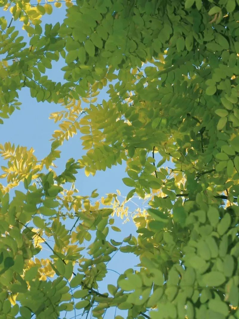 你好,8月24日休闲区蓝鸢梦想 - Www.slyday.coM 你好,8月24日休闲区蓝鸢梦想 - Www.slyday.coM