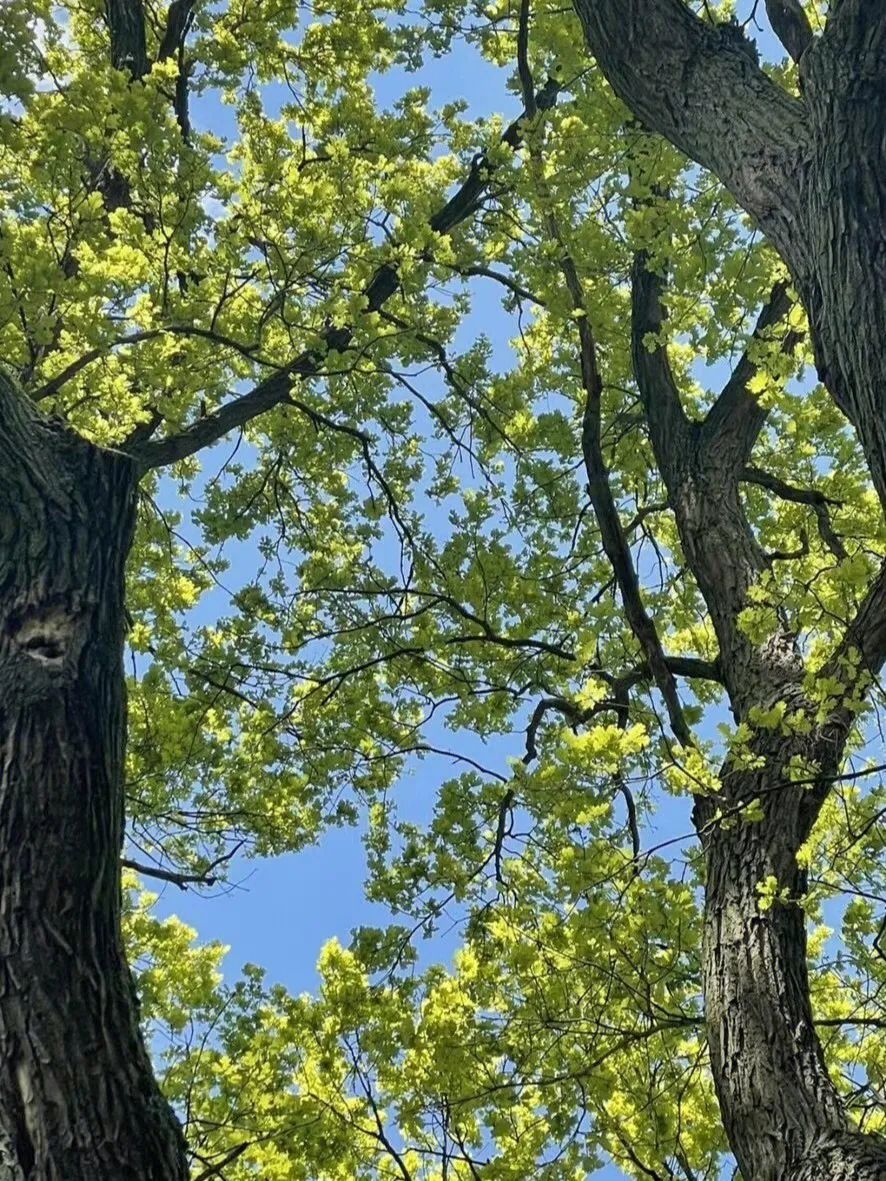 你好,8月24日休闲区蓝鸢梦想 - Www.slyday.coM 你好,8月24日休闲区蓝鸢梦想 - Www.slyday.coM