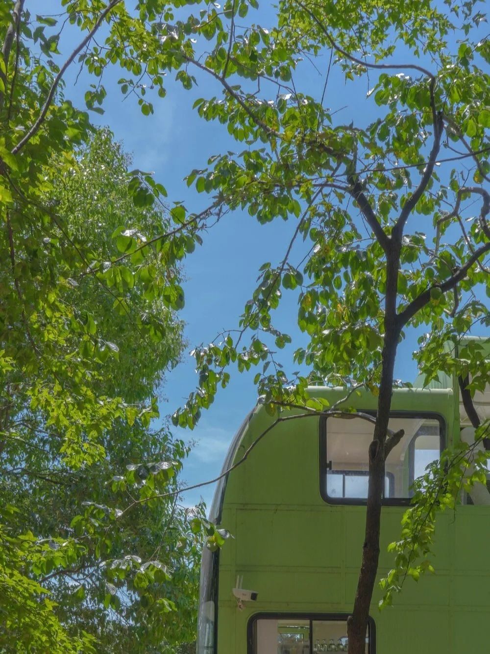 你好,8月24日休闲区蓝鸢梦想 - Www.slyday.coM 你好,8月24日休闲区蓝鸢梦想 - Www.slyday.coM