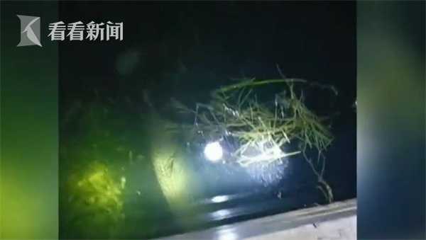 视频|河南汝州抽干湖水寻"怪鱼" 今天有望被捕捉到休闲区蓝鸢梦想 - Www.slyday.coM 视频|河南汝州抽干湖水寻"怪鱼" 今天有望被捕捉到休闲区蓝鸢梦想 - Www.slyday.coM