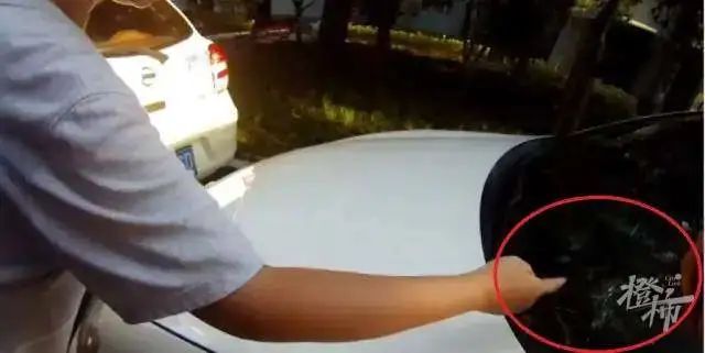 11岁男孩4楼扔块午餐肉,居然砸烂一辆车!扔肉的原因也找到了休闲区蓝鸢梦想 - Www.slyday.coM 11岁男孩4楼扔块午餐肉,居然砸烂一辆车!扔肉的原因也找到了休闲区蓝鸢梦想 - Www.slyday.coM