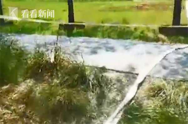 视频|河南汝州抽干湖水寻"怪鱼" 今天有望被捕捉到休闲区蓝鸢梦想 - Www.slyday.coM 视频|河南汝州抽干湖水寻"怪鱼" 今天有望被捕捉到休闲区蓝鸢梦想 - Www.slyday.coM