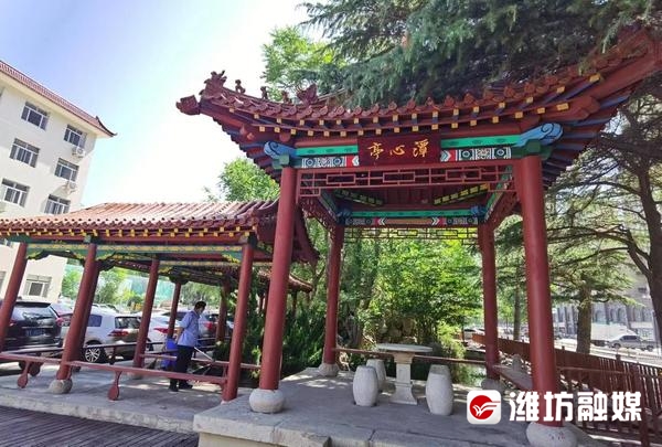 最新分析揭秘潍坊奎文晚上站大街到底有什么特别之处