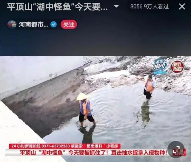 湖水都快抽干了,还没捉住这条“水中杀手”休闲区蓝鸢梦想 - Www.slyday.coM 湖水都快抽干了,还没捉住这条“水中杀手”休闲区蓝鸢梦想 - Www.slyday.coM