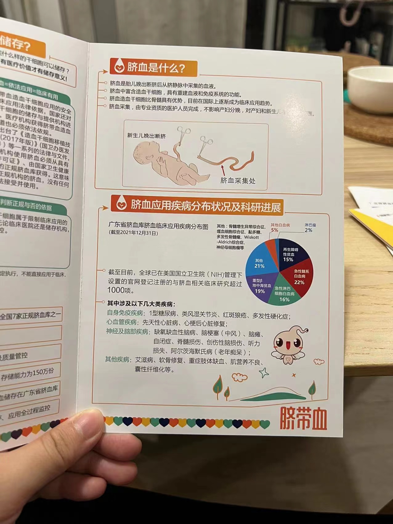 臍帶血儲存服務附贈醫療保險的介紹材料 受訪者供圖